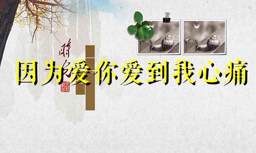 因为爱你爱到我心痛 但你却不懂