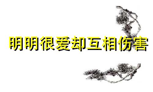 明明很爱却互相伤害 明明很相爱却彼此伤害