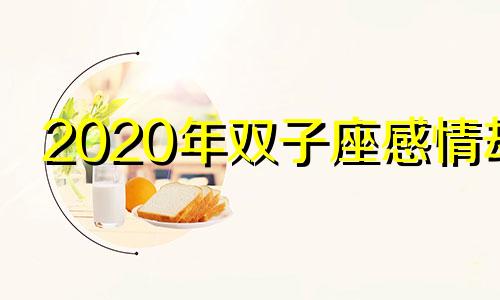 2020年双子座感情劫 2020年双子座的情劫