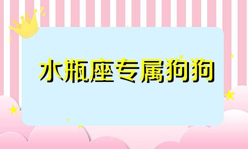 水瓶座专属狗狗 水瓶座的狗狗性格