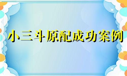 小三斗原配成功案例 小三智斗原配句句见血