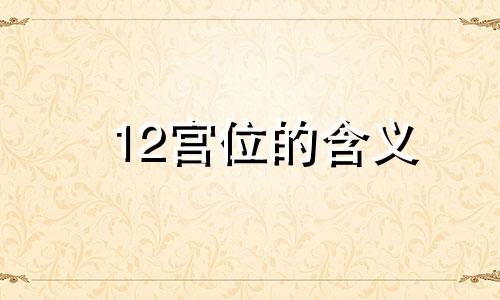 12宫位的含义 12宫宫位概念