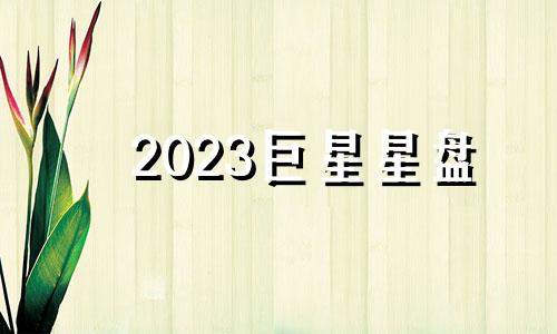 2023巨星星盘 2023年星座