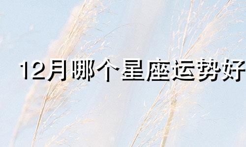 12月哪个星座运势好 2021年12星座事业运势