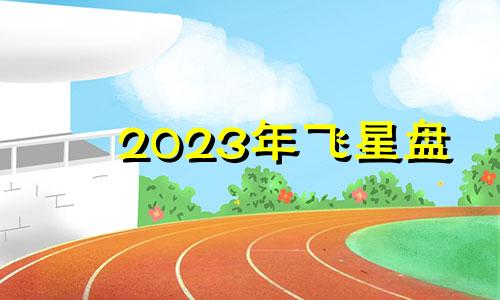 2023年飞星盘 2023星座运势大解析