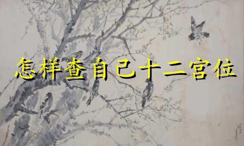 怎样查自己十二宫位 命宫对照表