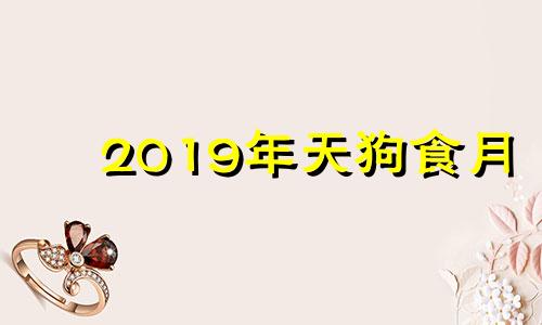 2019年天狗食月 2019年天狗食日的具体时间