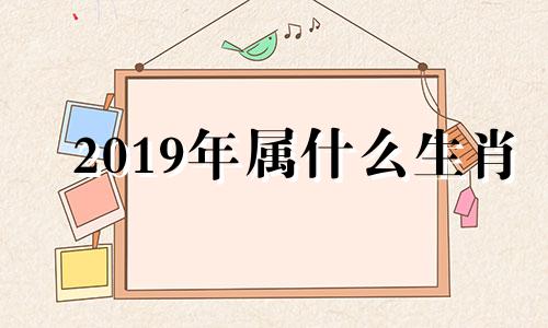 2019年属什么生肖 2019年