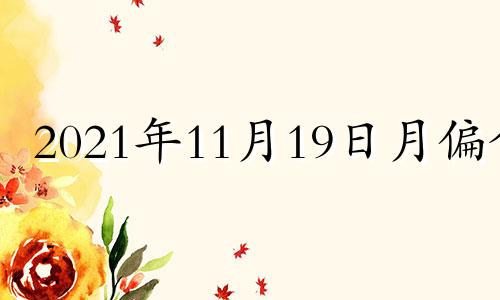 2021年11月19日月偏食 月偏食日偏食