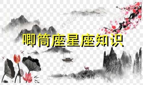 唧筒座星座知识 名字来源是什么