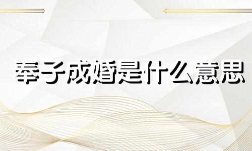 奉子成婚是什么意思 奉子成婚嫁给死对头的小说免费阅读