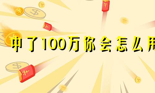 中了100万你会怎么用 中了一百万最想做什么