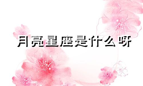 月亮星座是什么呀 月亮星座是指什么时候的性格