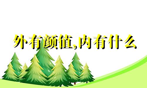 外有颜值,内有什么 外有颜值内有气质