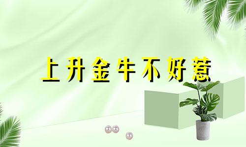 上升金牛不好惹 上升金牛为什么最可怕