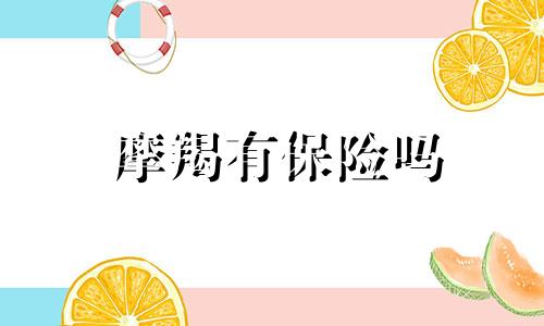 摩羯有保险吗 摩羯座里面哪些宝石是最珍贵的