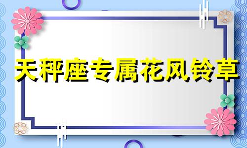 天秤座专属花风铃草 天秤守护花是什么花