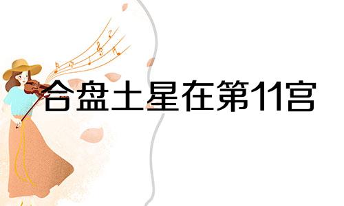 合盘土星在第11宫 合盘土星落12宫