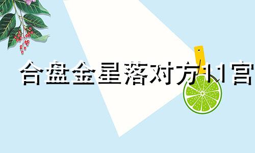 合盘金星落对方11宫 组合盘金星落11宫