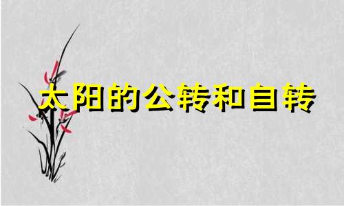 太阳的公转和自转 太阳的公转速度是多少