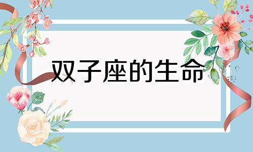 双子座的生命 双子定律