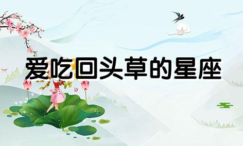 爱吃回头草的星座 职场上吃回头草