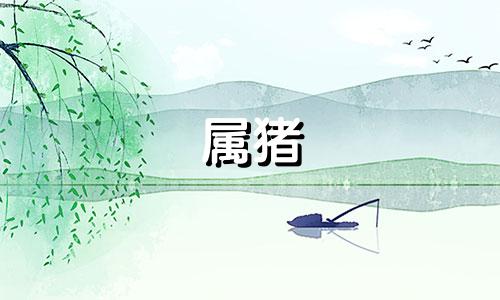 属猪 双鱼座 属猪双鱼座2021年运势详解全年运程完整版