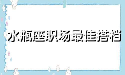 水瓶座职场最佳搭档 水瓶座职场性格