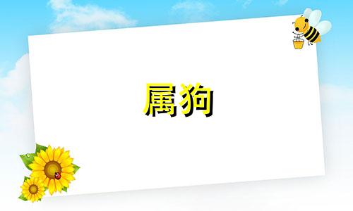 属狗 狮子座 属狗狮子座2021年运势及运程每月运程