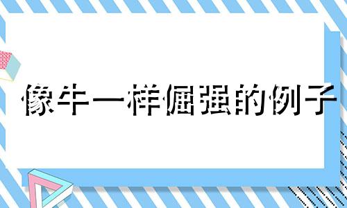 像牛一样倔强的例子 像牛一样倔强是什么歌