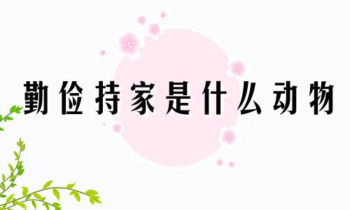 勤俭持家是什么动物 勤俭持家的意思解释