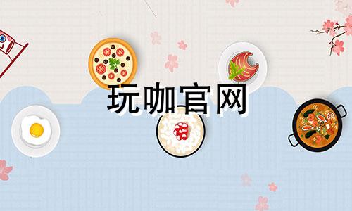 玩咖官网 玩咖控股有限公司