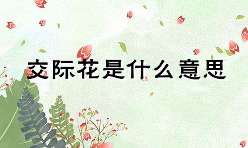 交际花是什么意思 交际花盛衰记