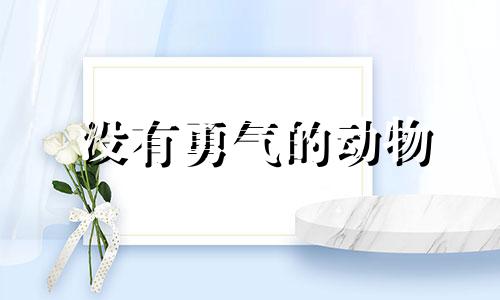 没有勇气的动物 十二生肖最有勇气的动物