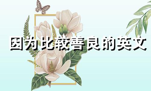 因为比较善良的英文 因为太善良