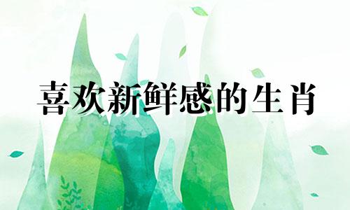 喜欢新鲜感的生肖