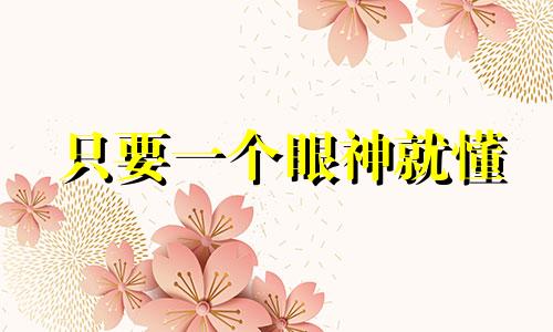 只要一个眼神就懂 只需一个眼神便能体会