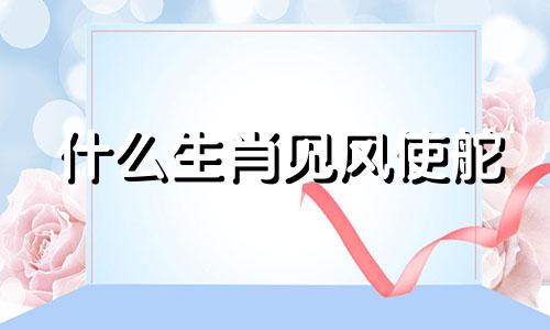 什么生肖见风使舵 见风使舵的是什么动物