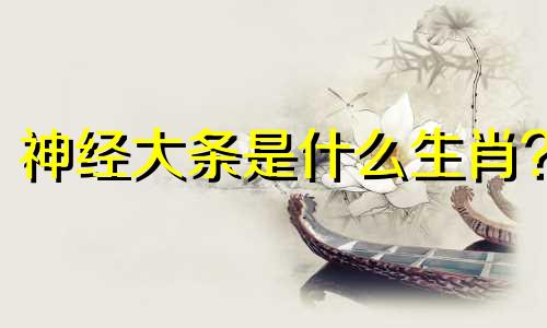 神经大条是什么生肖? 神经大条的人是什么意思