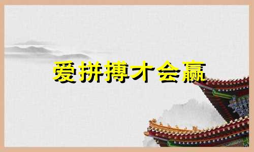 爱拼搏才会赢 爱拼搏才会赢电视剧