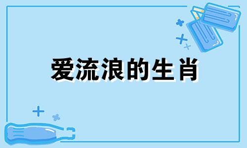 爱流浪的生肖 哪种生肖被称为流浪汉