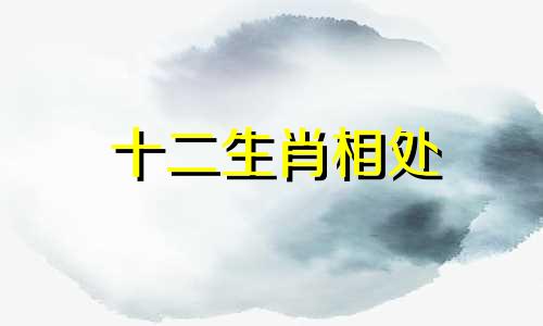 十二生肖相处 12生肖与人的关系