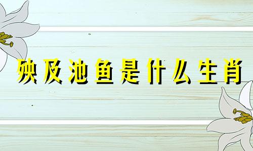 殃及池鱼是什么生肖 殃及池鱼的解释