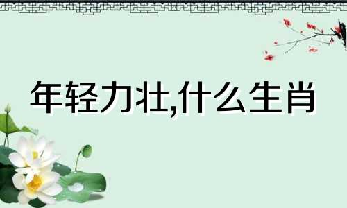 年轻力壮,什么生肖 年轻力壮是几岁