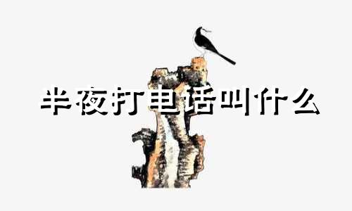 半夜打电话叫什么 