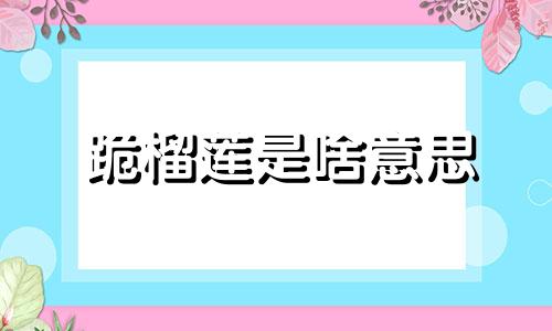 跪榴莲是啥意思 跪榴莲违法吗