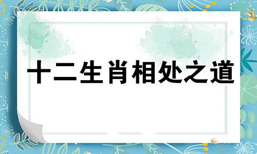 十二生肖相处之道 十二生肖关系最好