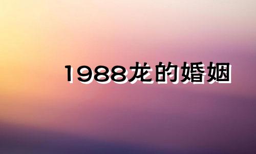 1988龙的婚姻 1988属龙命苦婚姻