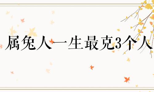 属兔人一生最克3个人 2024年属兔和什么相克相冲