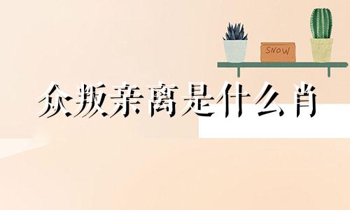 众叛亲离是什么肖 众叛亲离指什么生肖